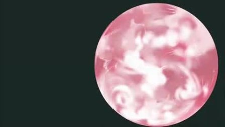 虚拟女性歌手 - 初音未来
