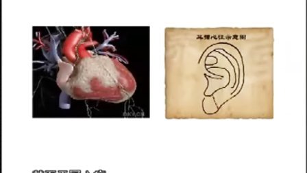 【王鸿谟】 养生堂系列-今天我们看看自己的脸色