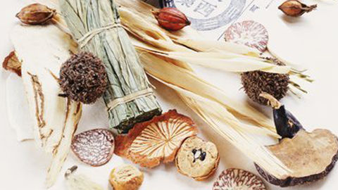 辨体质话食疗