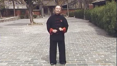 李德印形意五行拳教学