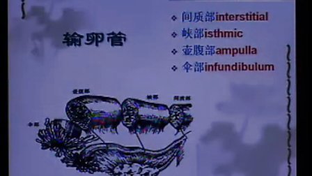 妇科学中山大学