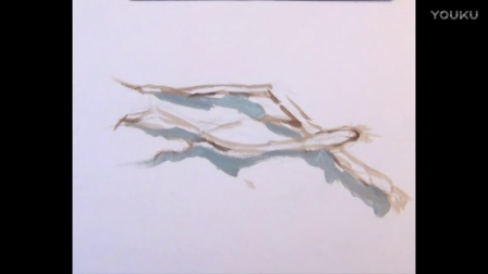 水粉画色彩教学视频