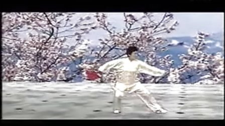 马春喜陈式太极刀/扇分解教学