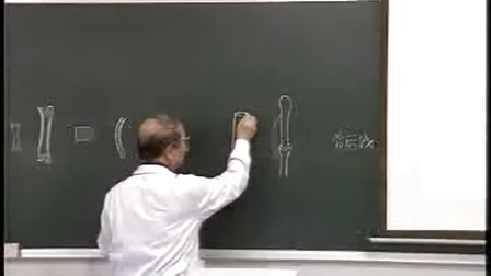 人体解剖学