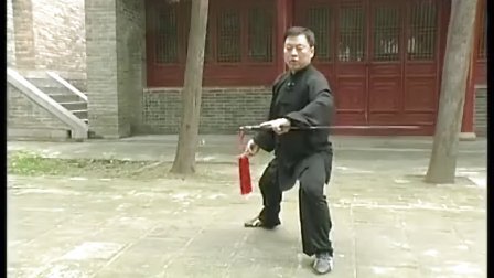 陈式四十九式太极剑