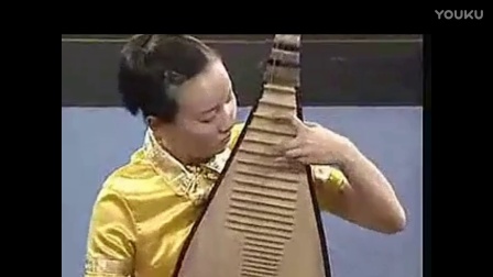 孙树林琵琶演奏<em>入门</em>与精通教程