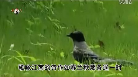 中华古诗词艺术朗诵OK版