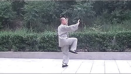 永年李占英太极拳85式教学
