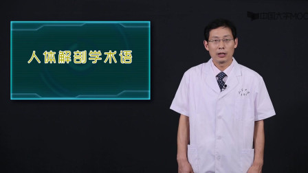 系统解剖学