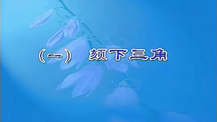 局部解剖学人卫版