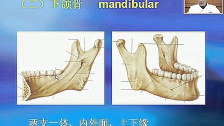 口腔解剖生理学（华西医学中心）