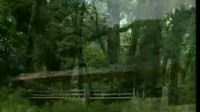 少儿学唐诗三百首