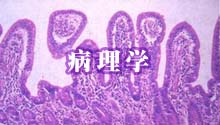 病理学