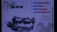 妇产科学