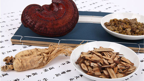 中医学专业导论