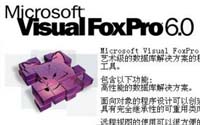 Visual FoxPro程序设计