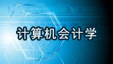 计算机会计学