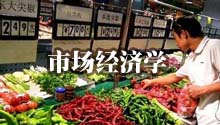 市场经济学
