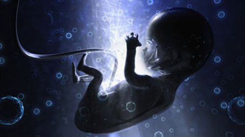 生命科学与伦理