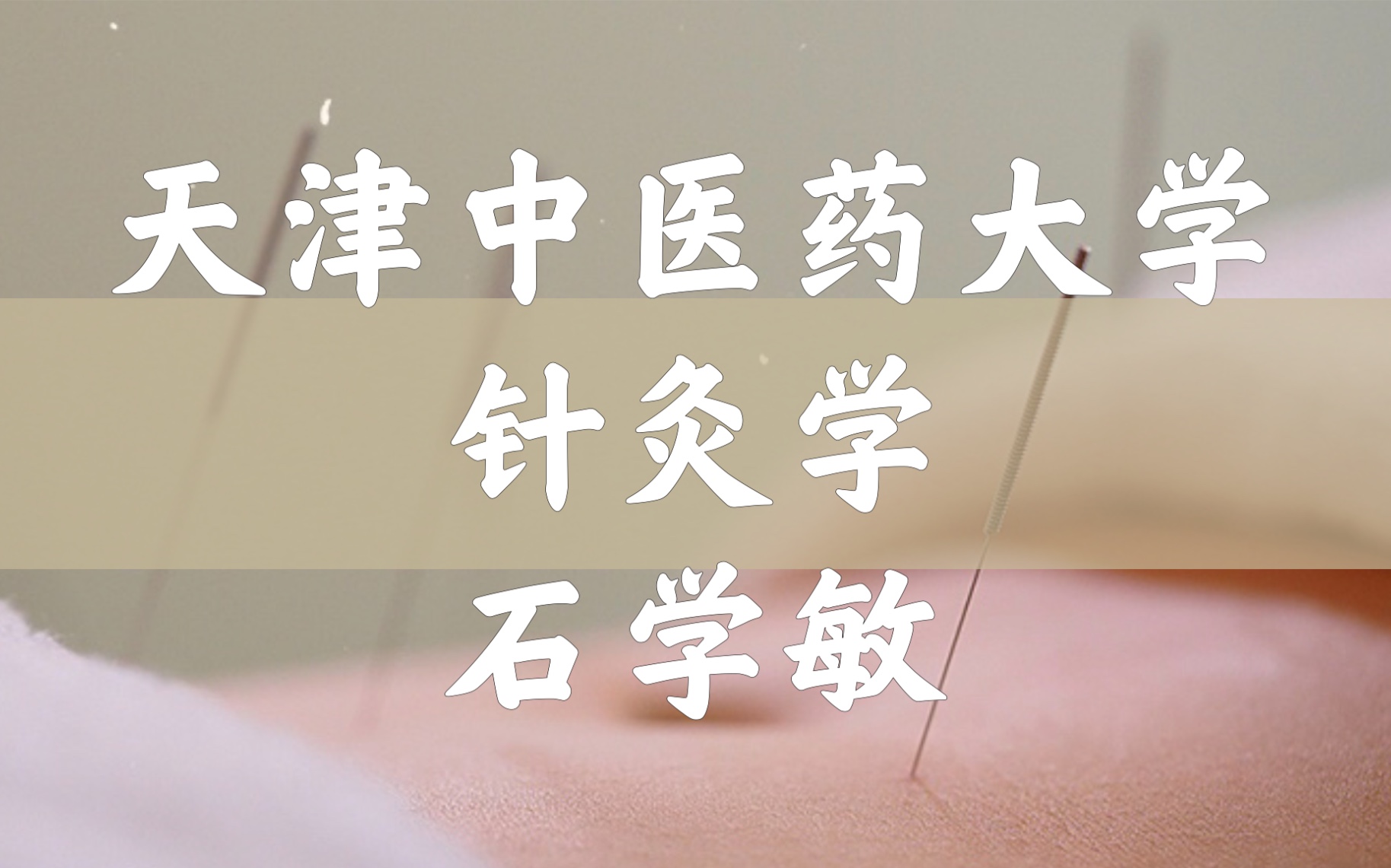 针灸学（全142讲）