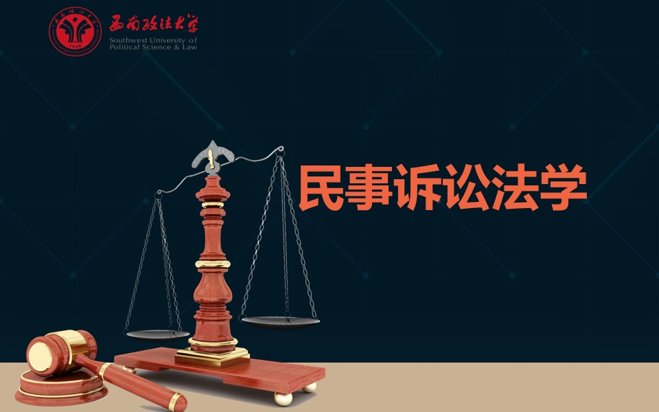 民事诉讼法学
