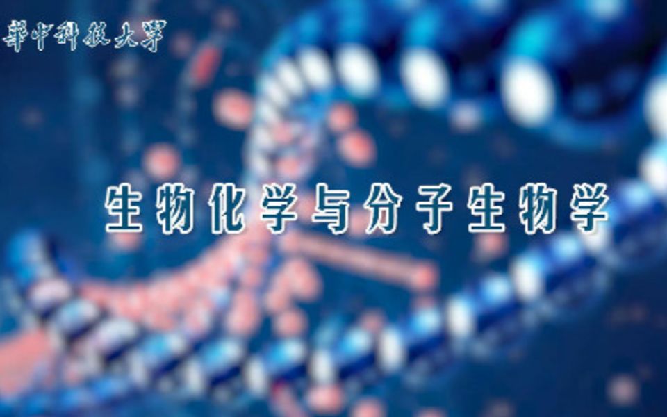 生物化学与分子生物学