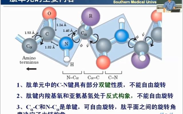 生物化学