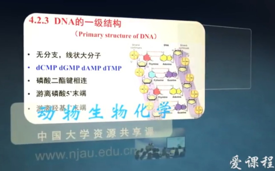 动物生物化学