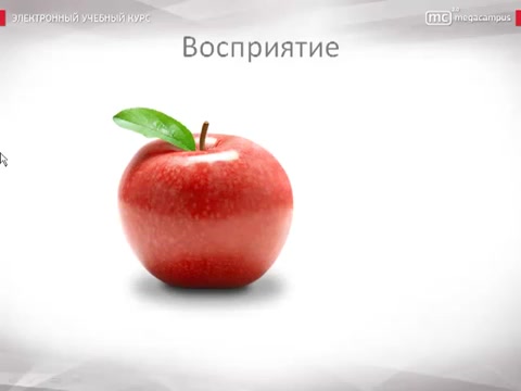 心理学概论 Основы психологии