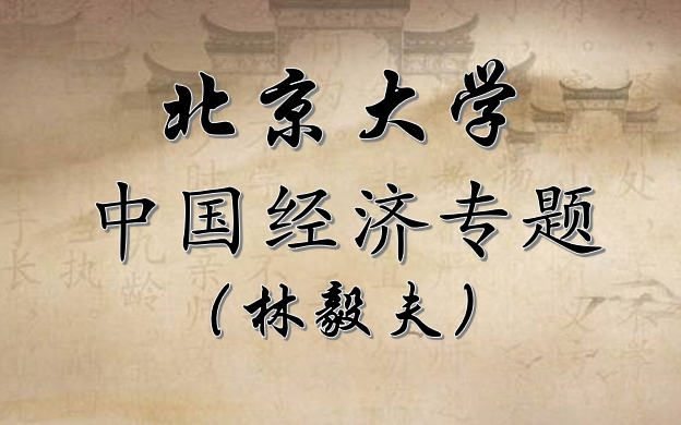 中国经济专题