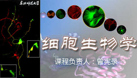 细胞生物学