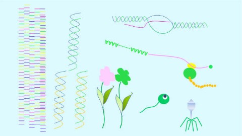分子生物学