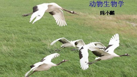 动物生物学