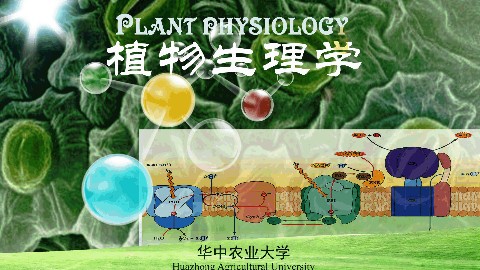 植物生理学