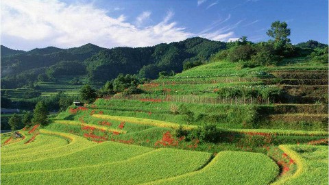 土地管理学
