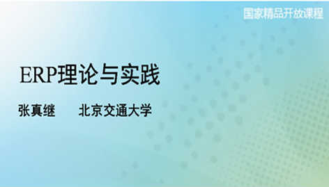 ERP理论与实践