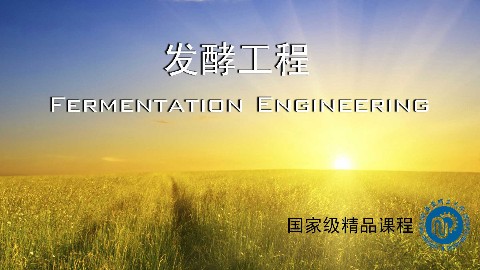 发酵工程