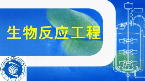 生物反应工程