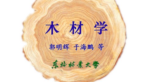 木材学