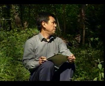 山水画技法写生与创作