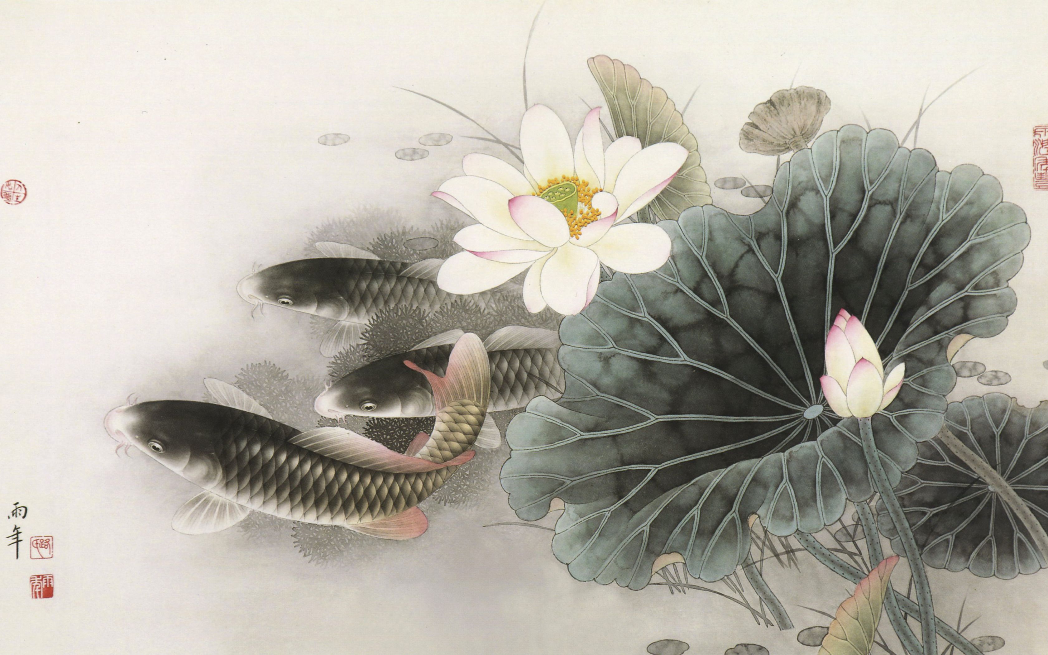工笔花鸟画视频教程