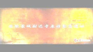 尉迟寺聚落的发现及意义
