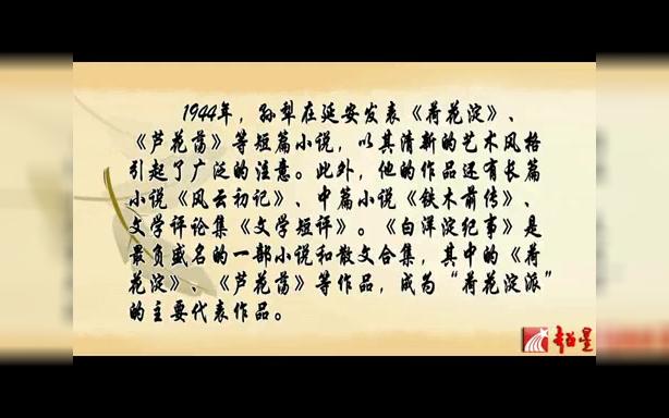 中国当代文学精品