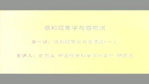 感知现象学与感物说