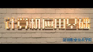 计算机应用基础