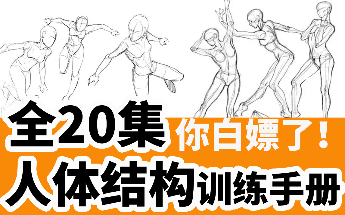 大神360天总结人体结构基础绘画教程