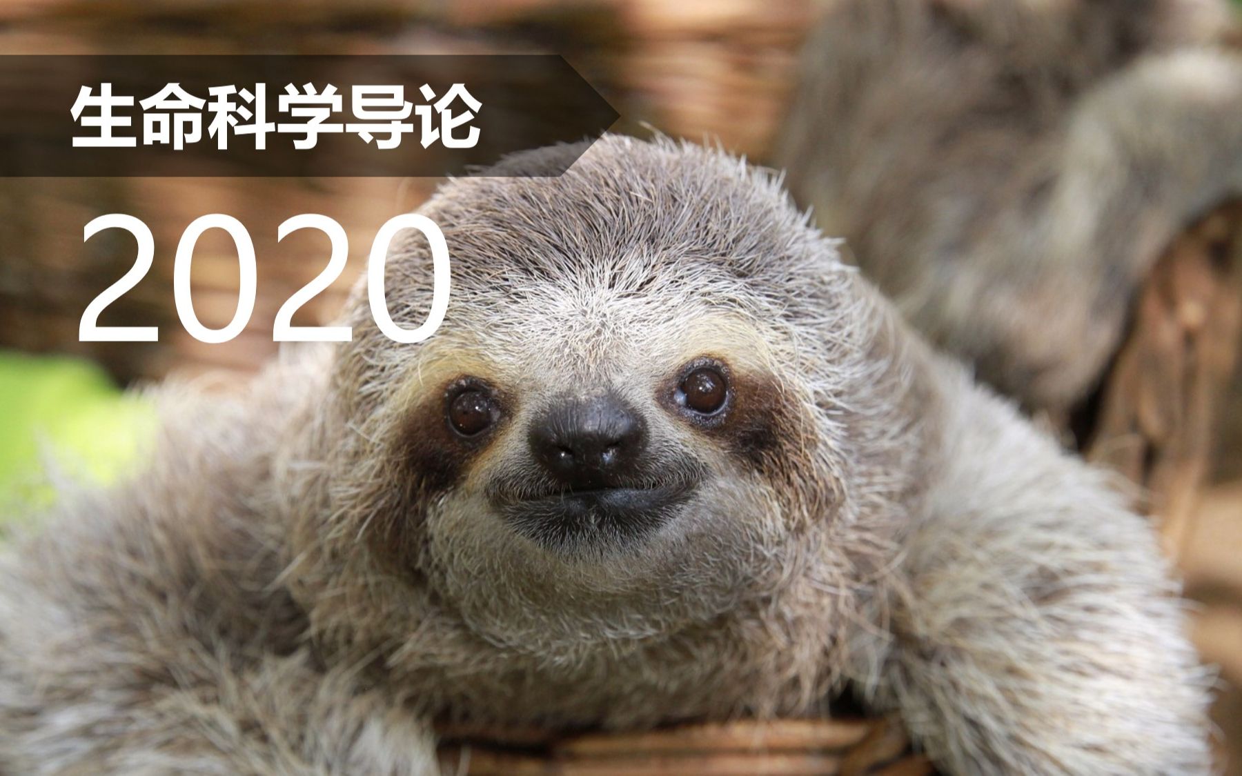【生命中国】生命科学导论2020-2021