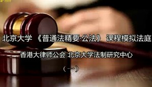 《普通法精要·公法》模拟法庭视频教程 强世功 12讲 北京大学