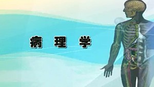 病理学视频教程 苏静 13讲 北京大学