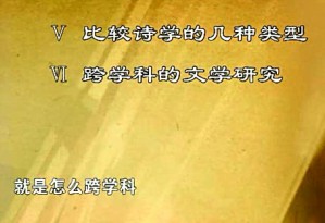 比较文学视频教程 乐黛云 27讲 北京大学